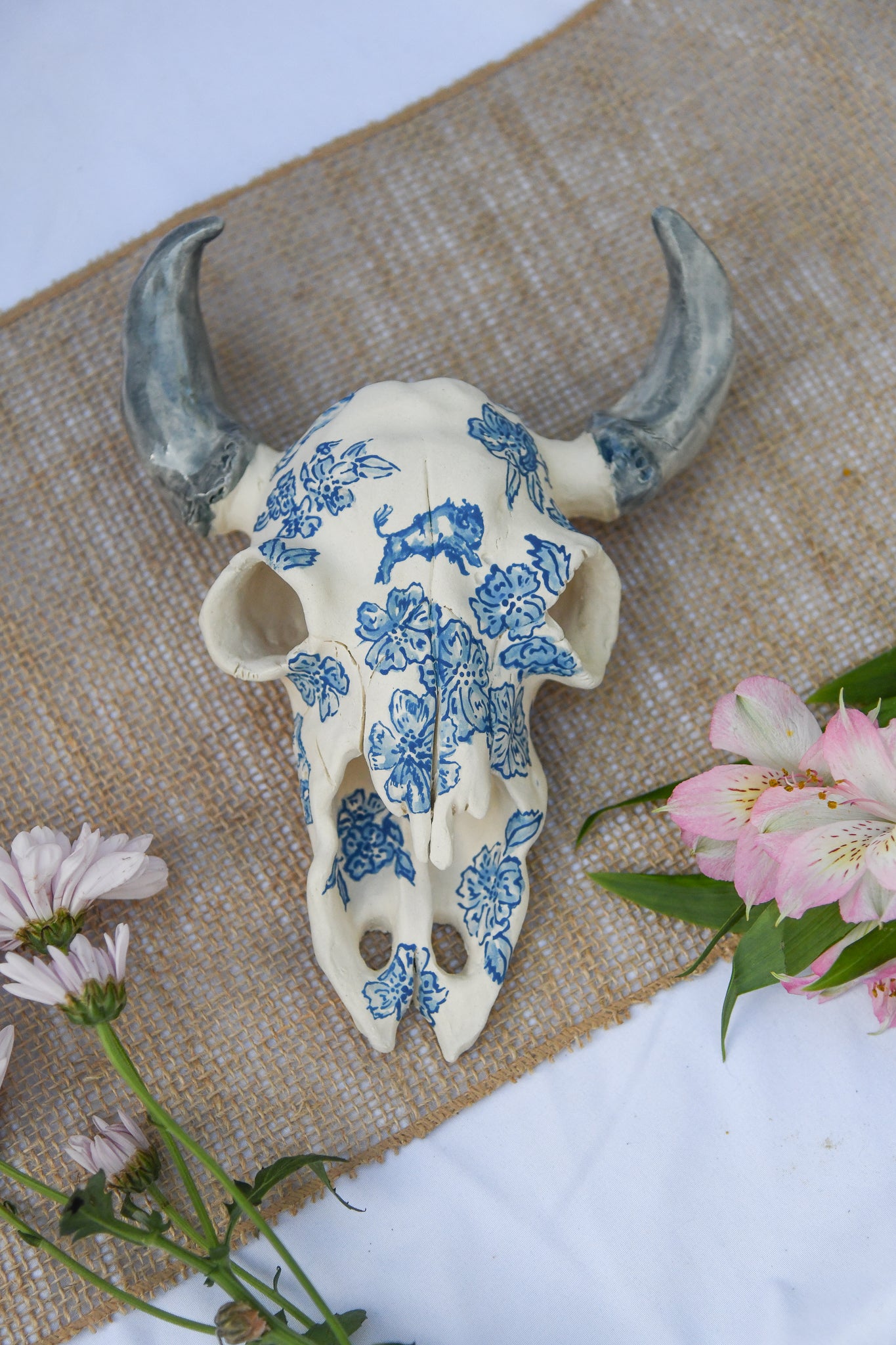 Bison Skull